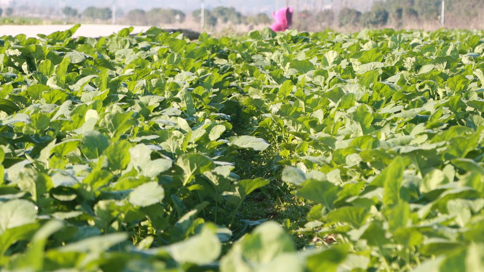 74a5f87879deb012d6cadeb303bae84b.jpg 74a5f87879deb012d6cadeb303bae84b.jpg