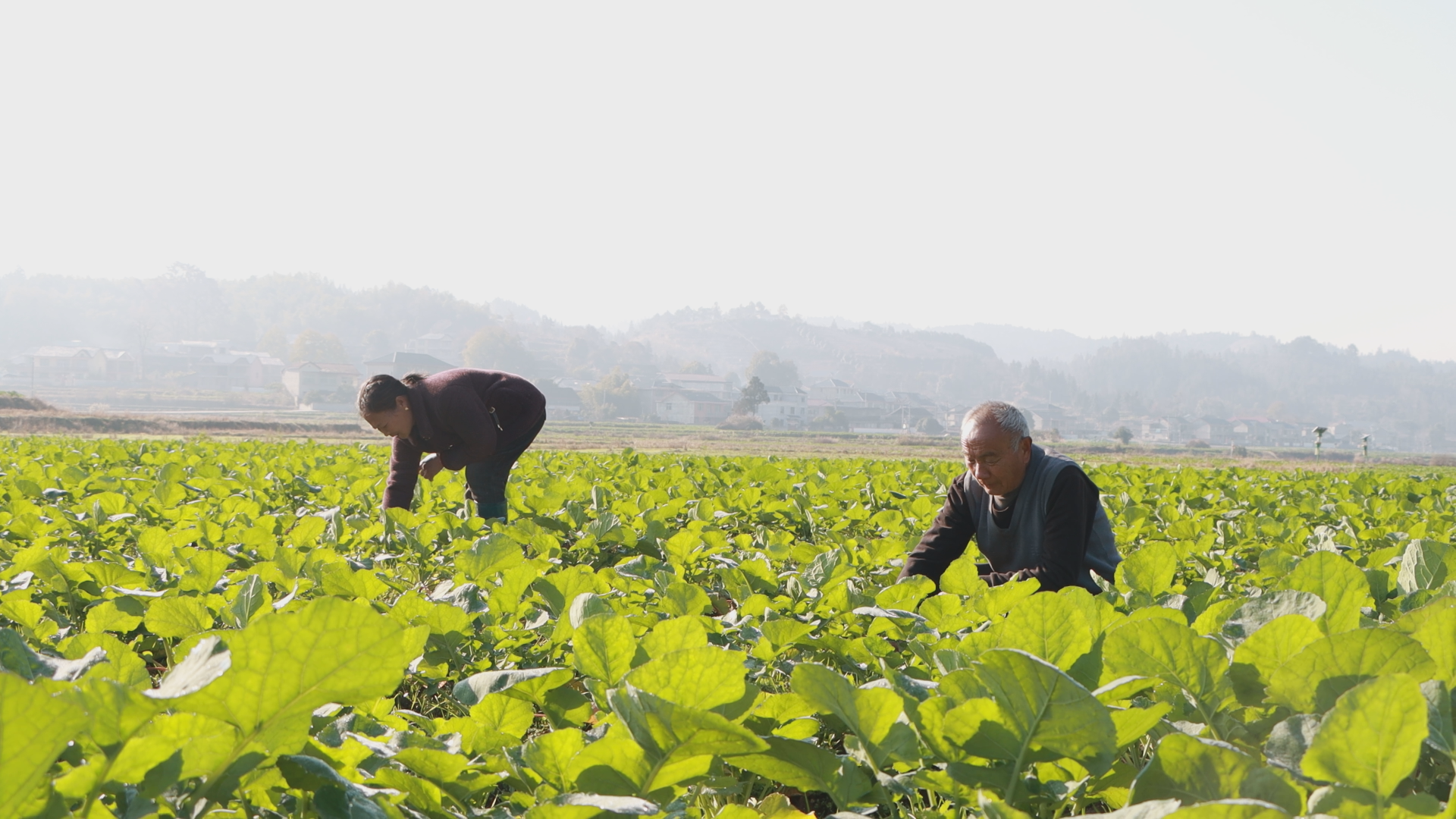 Still0108_00000.png Still0108_00000.png