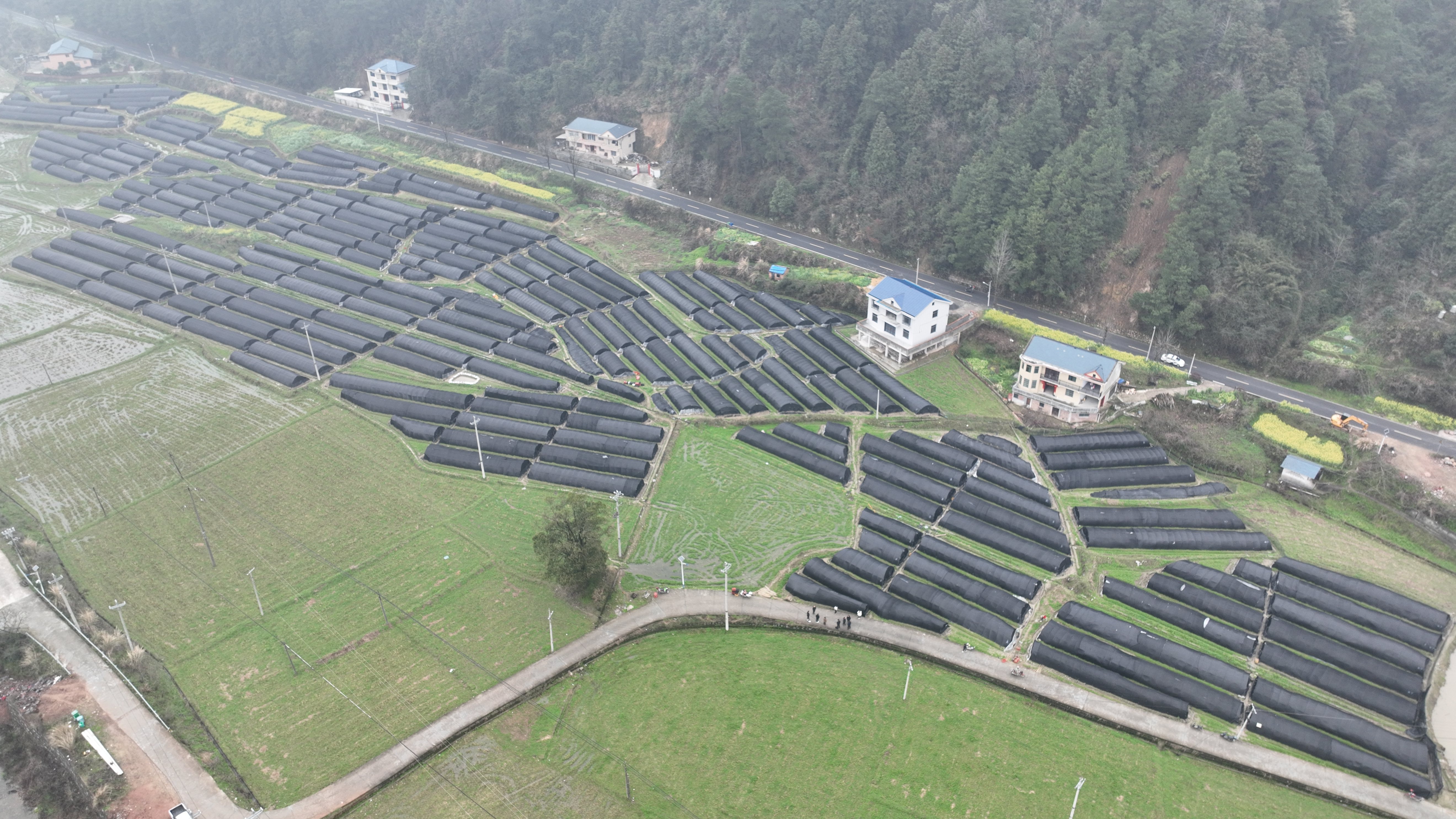 6c8c011cd464903af5cdedd8aa472ea7 (1).jpg