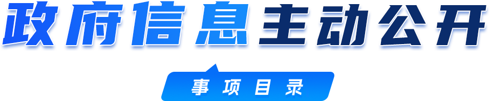 政府信息主动公开 事项目录清单