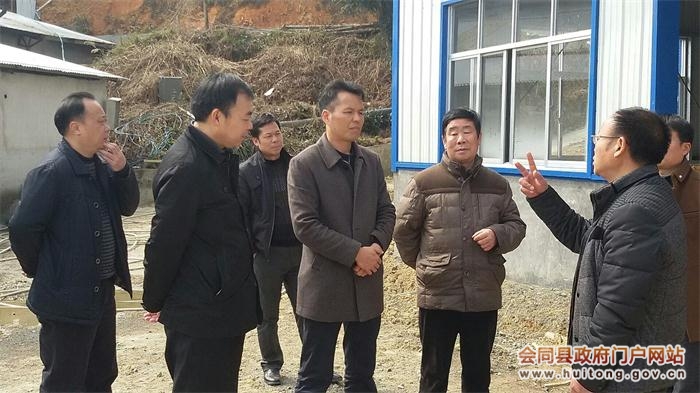 向华:大力加快推进我县茶叶产业发展 - 会同县人民政府