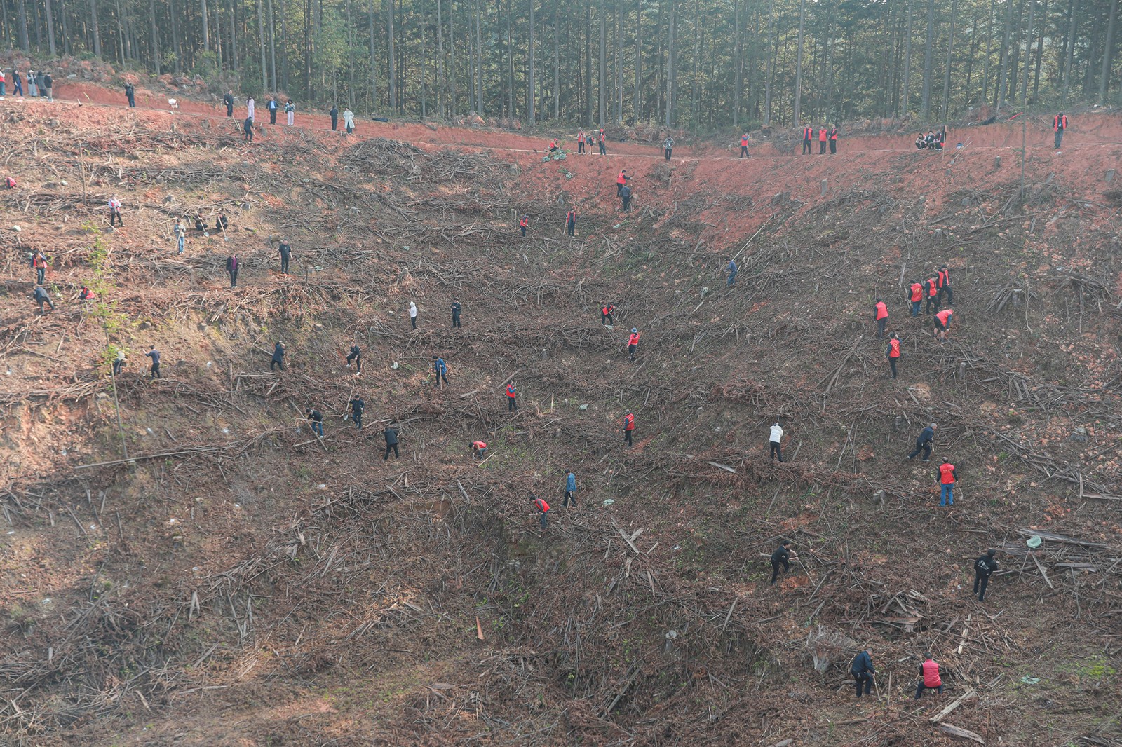 2H2A3536.JPG 2H2A3536.JPG