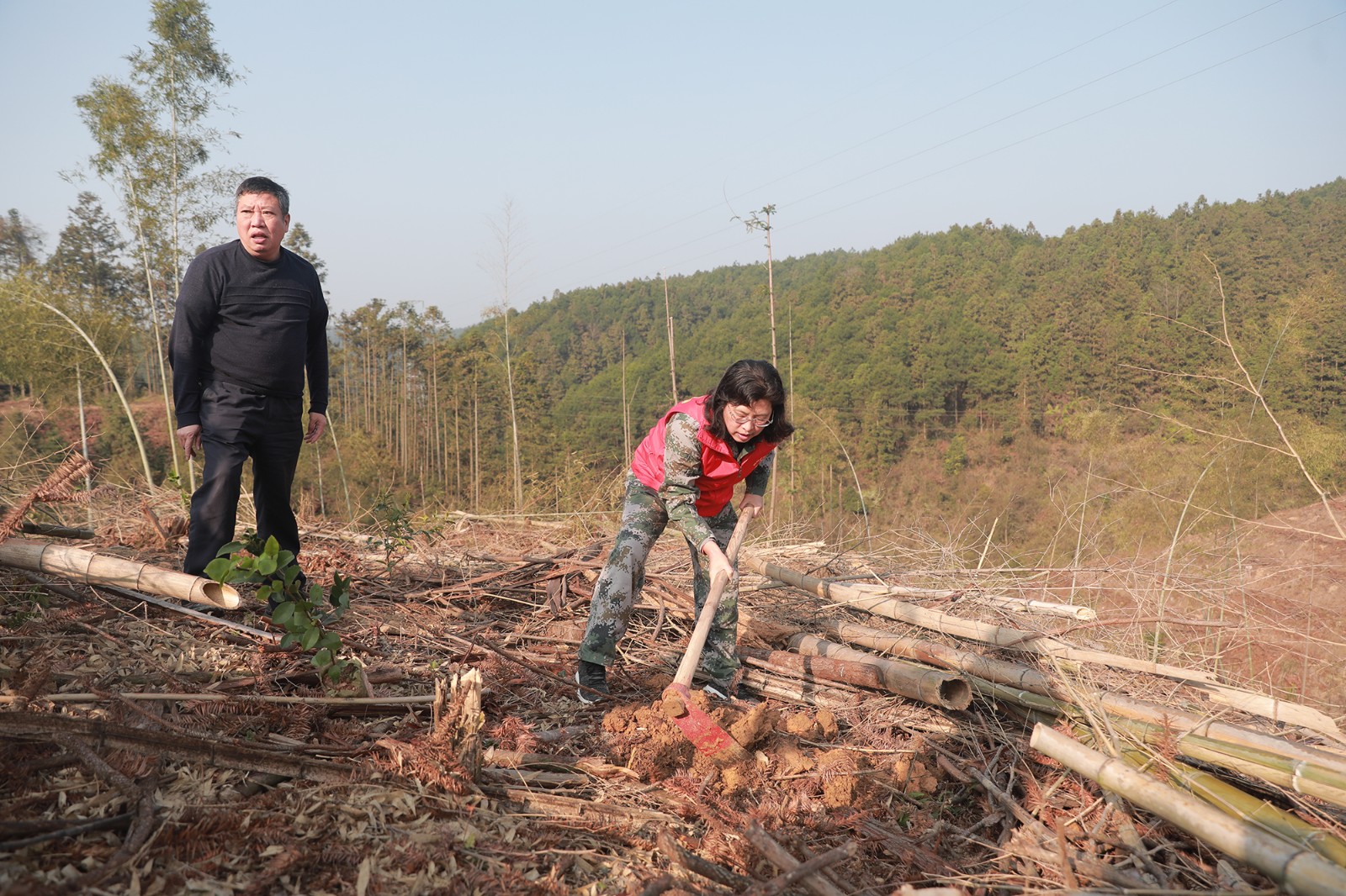 2H2A3480.JPG 2H2A3480.JPG