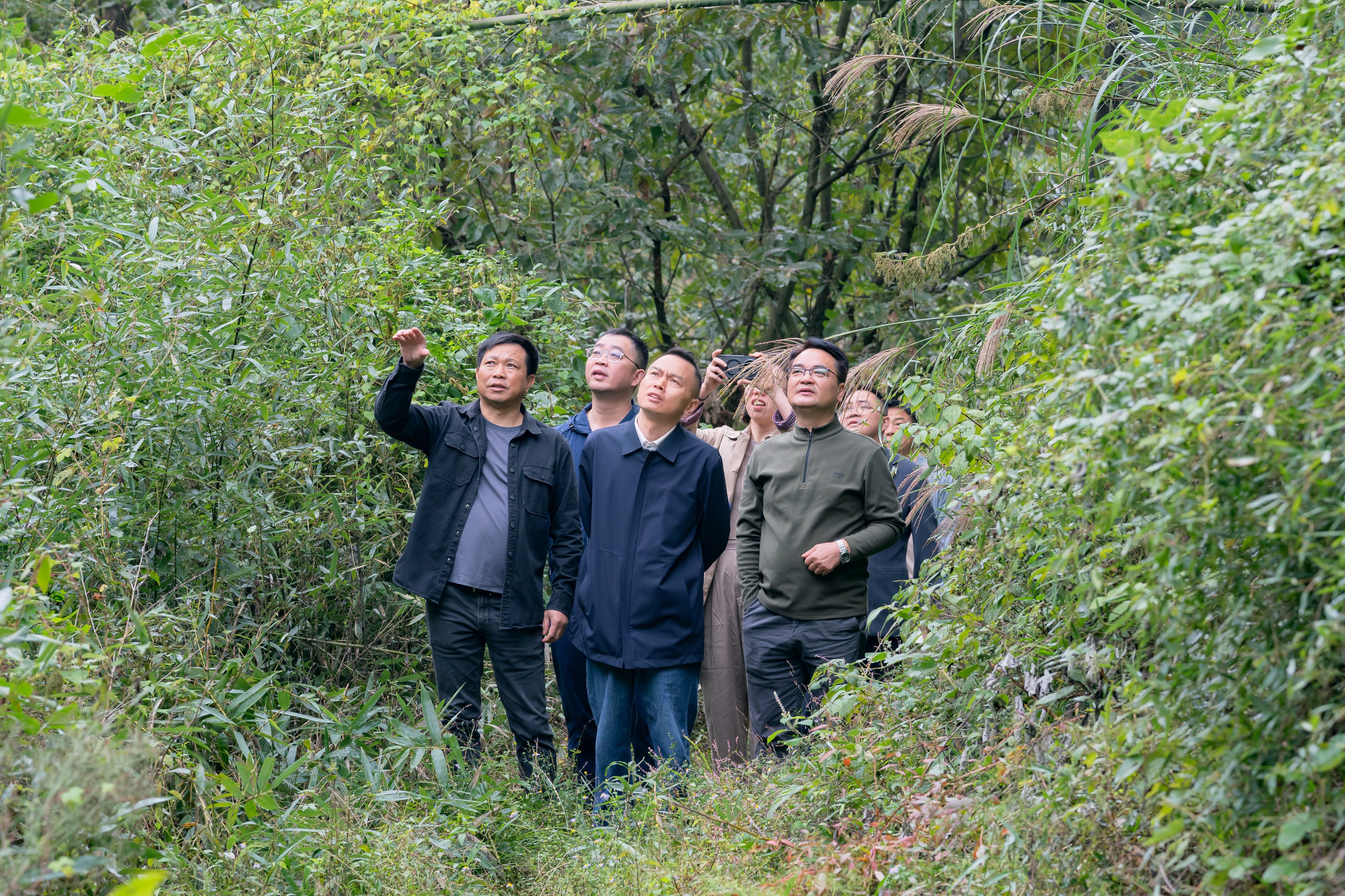 微信图片_20261006143945_9_200.jpg 微信图片_20261006143945_9_200.jpg