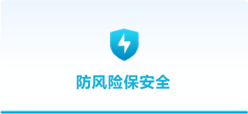 防风险保安全